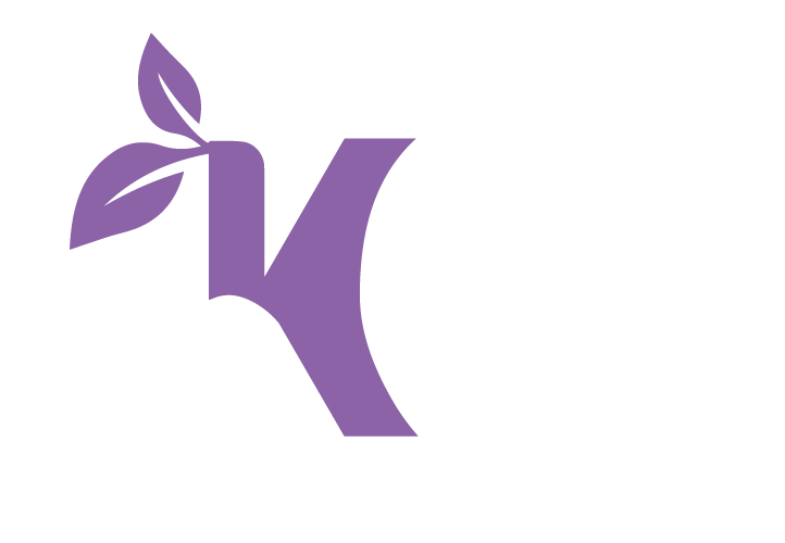 Logo K&H